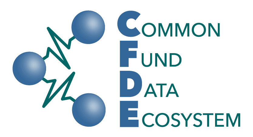 Silver Sponsor - CFDE